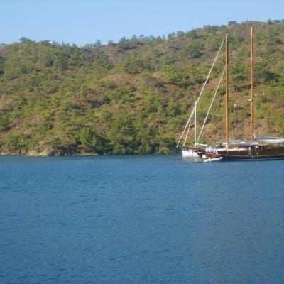 Turkey119