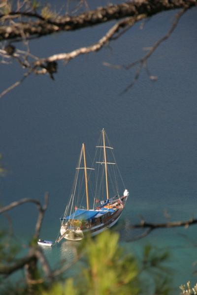 Turkey236