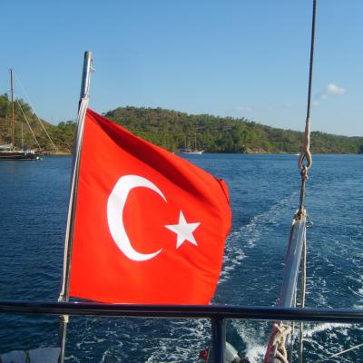 Turkey336