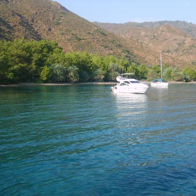 Turkey347