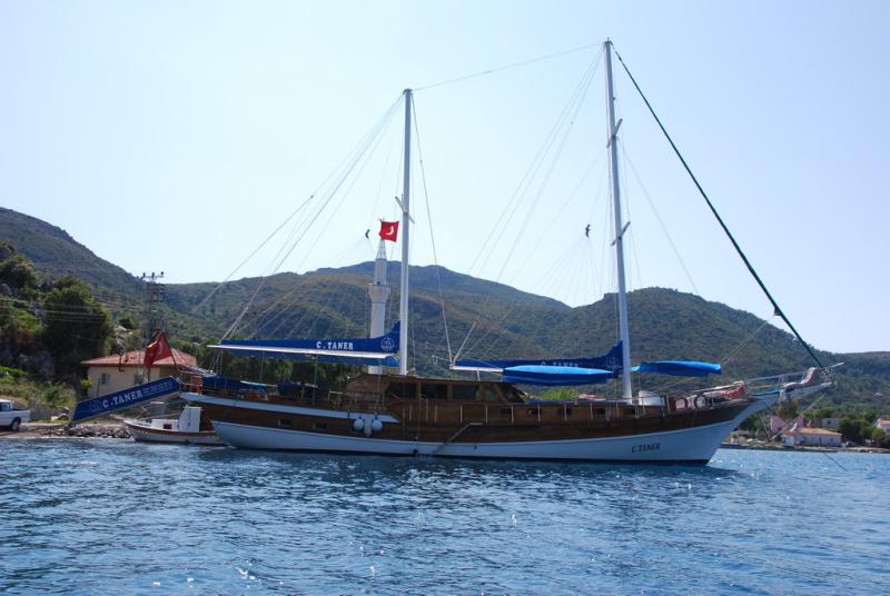 CTaner